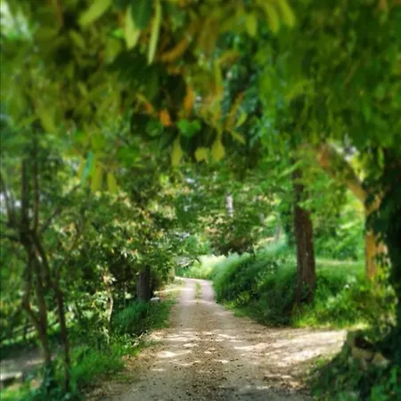 Sesima Turismo Rurale 2* Mistretta