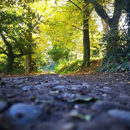 ホテル Sesima Turismo Rurale Mistretta